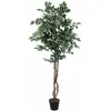 Image de Europalms, Plantes artificielles, Benjamini ficus argenté, plante artificielle, 180cm (180 cm)