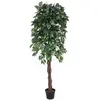 Image de Europalms, Plantes artificielles, Ficus-Benjamini multi-tronc, plante artificielle, 180cm (180 cm)