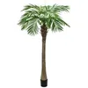 Image de EUROPALMS Phoenix palmier luxor, plante artificielle, 150cm