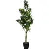 Image de Europalms, Plantes artificielles, Hibiscus, plante artificielle, 90cm (90 cm)