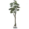 Image de EUROPALMS Arbre pothos, plante artificielle, 175cm