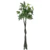Image de EUROPALMS Pachira boule arbre, plante artificielle, 160cm