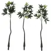 Image de Europalms, Plantes artificielles, Pachira, plante artificielle, 160cm (160 cm)