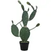 Image de Europalms, Plantes artificielles, Cactus à feuilles (76 cm)