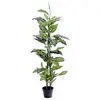 Image de Europalms, Plantes artificielles, Dieffenbachia, artificiel, 120cm (120 cm)