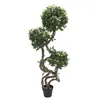 Image de EUROPALMS Tronc en spirale d' ficus, plante artificielle, 160cm