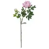 Image de Europalms, Plantes artificielles, Branche de pivoine Premium, plante artificielle, rose, 100cm (100 cm)