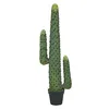 Image de EUROPALMS Cactus mexicain , plante artificielle, vert, 117cm