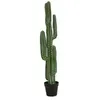 Image de EUROPALMS Cactus mexicain , plante artificielle, vert, 123cm