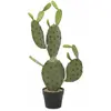 Image de Europalms, Plantes artificielles, Blätterkaktus (75 cm)