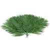 Image de EUROPALMS Branche de cocotier , artificielle, 90cm 12x