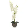Image de Europalms, Plantes artificielles, Orchidée (80 cm)