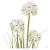 Image de Europalms, Plantes artificielles, Herbe à Allium, plante artificielle, blanche, 120 cm (120 cm)