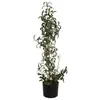 Image de Europalms, Plantes artificielles, Olivier, plante artificielle, 104 cm (104 cm)