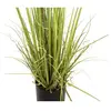 Image de Europalms, Plantes artificielles, Arbuste à feuilles persistantes avec herbe, plante artificielle, 182 cm (182 cm)