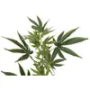 Image de Europalms, Plantes artificielles, Branche de chanvre, artificielle, 90cm