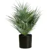 Image de Europalms, Plantes artificielles, Palmier éventail, plante artificielle, 55cm