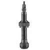 Image de Schwalbe Soupape Tubeless 2 Unités 40 mm