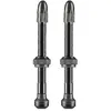 Image de Schwalbe Soupapes Tubeless Presta 2 Unités 100 mm