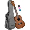Image de Cascha HH 2035 Concert Acajou Concert