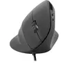 Image de Speedlink Piavo (Filaire), Souris, Noir