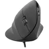 Image de Speedlink Souris Ergonomique Piavo
