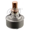 Image de Thermostat Febi Car 9328