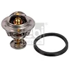 Image de Thermostat Avec Rondelle D'étanchéité Febi Car 24998