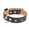 Image de Collier en cuir Heim Stars, noir taille 60 tour de cou 45-55 cm - pour chien