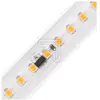 Image de Sigor, Bande LED, 5966401LEDStripsRolleSet 230V, IP65, 10m, 80W 3000K (1000 cm, Intérieur)