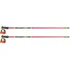Image de Leki, Bâtons de ski