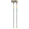 Image de Leki, Bâtons de ski