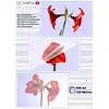 Image de Olympia, Films de plastification, Feuilles de plastification (A4, 100 pcs, 125 µm)