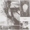 Image de All Living Things