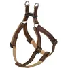 Image de Nobby Harnais Soft Grip (L, M, Chien, Général), Collier + laisse