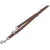 Image de Nobby Classic (S, Chien, Général), Collier + laisse
