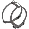 Image de Nobby Harnais Classic (S, XS, Chien, Général), Collier + laisse