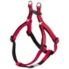 Image de Nobby Harnais Soft Grip (L, XL, Chien), Collier + laisse