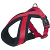 Image de Nobby Harnais confort Classic (S, Chien), Collier + laisse
