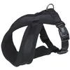 Image de Nobby Harnais confort Classic (L, M, Chien), Collier + laisse