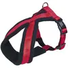 Image de Nobby Harnais confort Soft Grip (S, Chien, Général), Collier + laisse