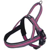 Image de Nobby Harnais norvégien Variado (L, Chien, Général), Collier + laisse