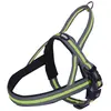 Image de Nobby Harnais norvégien Variado (L, Chien, Général), Collier + laisse