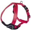 Image de Nobby Harnais confort Classic Preno (L, Chien, Général), Collier + laisse
