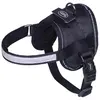 Image de Nobby Vaisselle Seguro Mini (S, Chien, Promenade), Collier + laisse