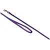 Image de Nobby Laisse Classic Preno Mini (Chien), Collier + laisse