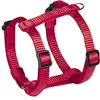 Image de Nobby Harnais Classic Preno Mini (Chien), Collier + laisse