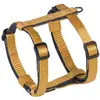Image de Nobby Harnais Classic Preno Mini (Chien), Collier + laisse