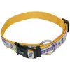 Image de Nobby Collier Style (Chien, Général), Collier + laisse