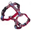 Image de Nobby Style de vaisselle (XS, Chien), Collier + laisse